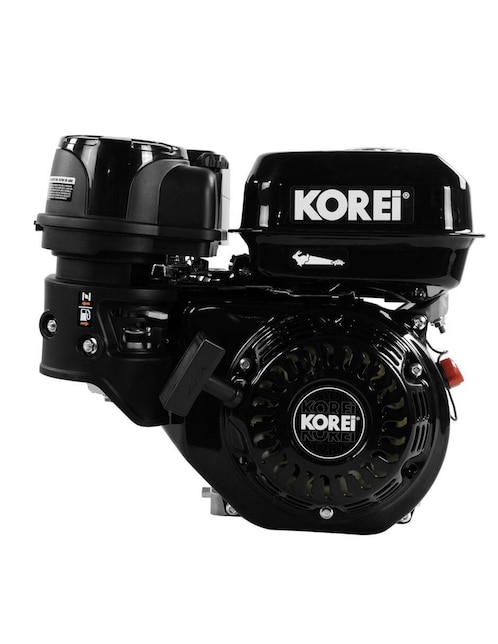 Motor de gasolina 1