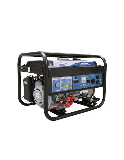 Generador de gasolina Bergen