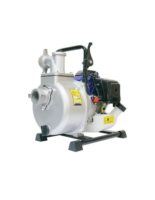 Bomba de agua Bergen 2.5 HP