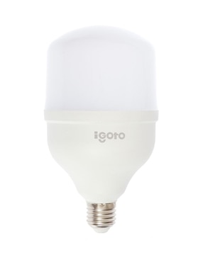 Foco IGOTO 30 Watts F10530