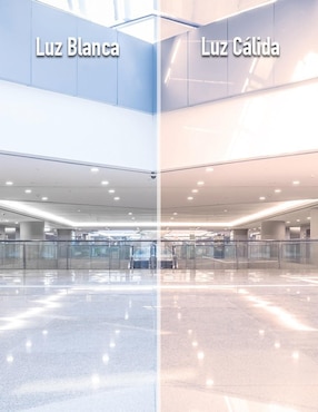 Foco LED Icon 20W de consumo 75W de iluminación 950 lúmenes