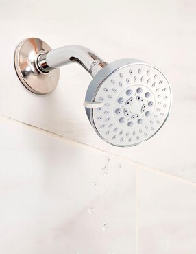 Regadera para baño Dica