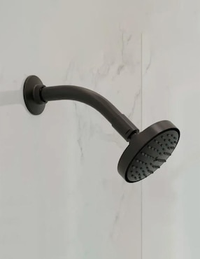 Regadera para baño Helvex
