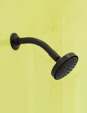 Regadera para baño Helvex
