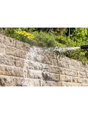 Desinfectante en líquido Karcher Home & Garden 5 L