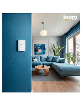 Contacto Igoto