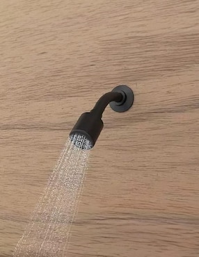 Regadera para baño Proyecta