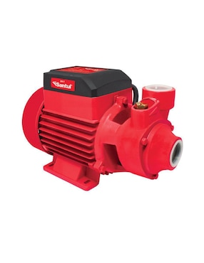 Bomba de agua periférica Santul 3/4 hp