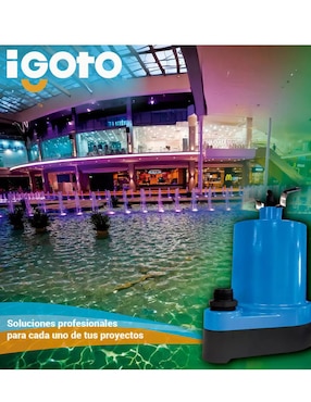 Bomba de agua fuente de ornato Igoto 1/6 hp