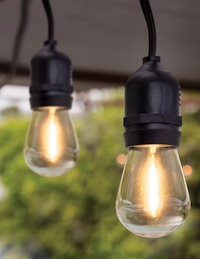 Serie de focos LED Feit Electric con 24 focos