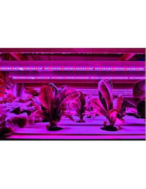 Serie de focos LED Ventdepot Mxgws-001