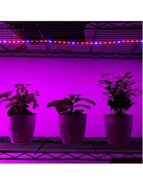 Serie de focos LED Ventdepot Mxgws-001