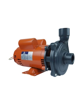 Bomba de agua centrífuga Bergen 1 HP