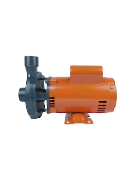 Bomba de agua centrífuga Bergen 1 HP