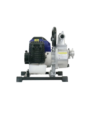 Bomba de agua autocebante Bergen 2.5 HP