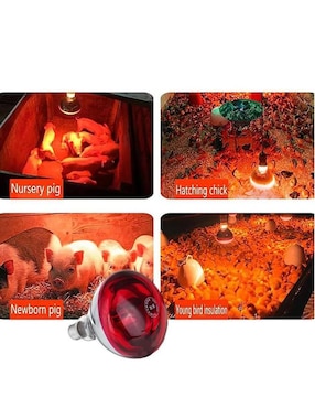Foco incandescente Ventdepot 2.3 W de consumo 250 W de iluminación 11 lúmenes