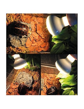 Foco incandescente Ventdepot 100 W de 11 lúmenes