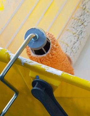 Rodillo para pintar Rollingdog