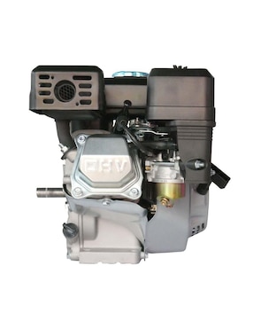 Motor de gasolina Bergen