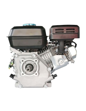 Motor de gasolina Bergen