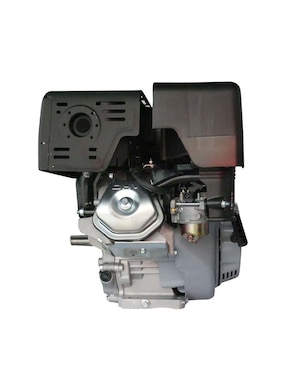 Motor de gasolina Bergen