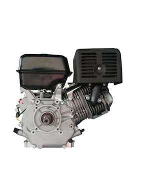 Motor de gasolina Bergen