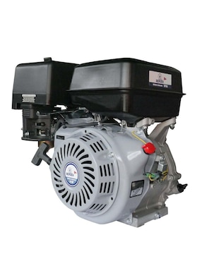Motor de gasolina Bergen