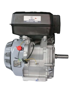 Motor de gasolina Bergen