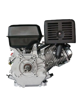 Motor de gasolina Bergen