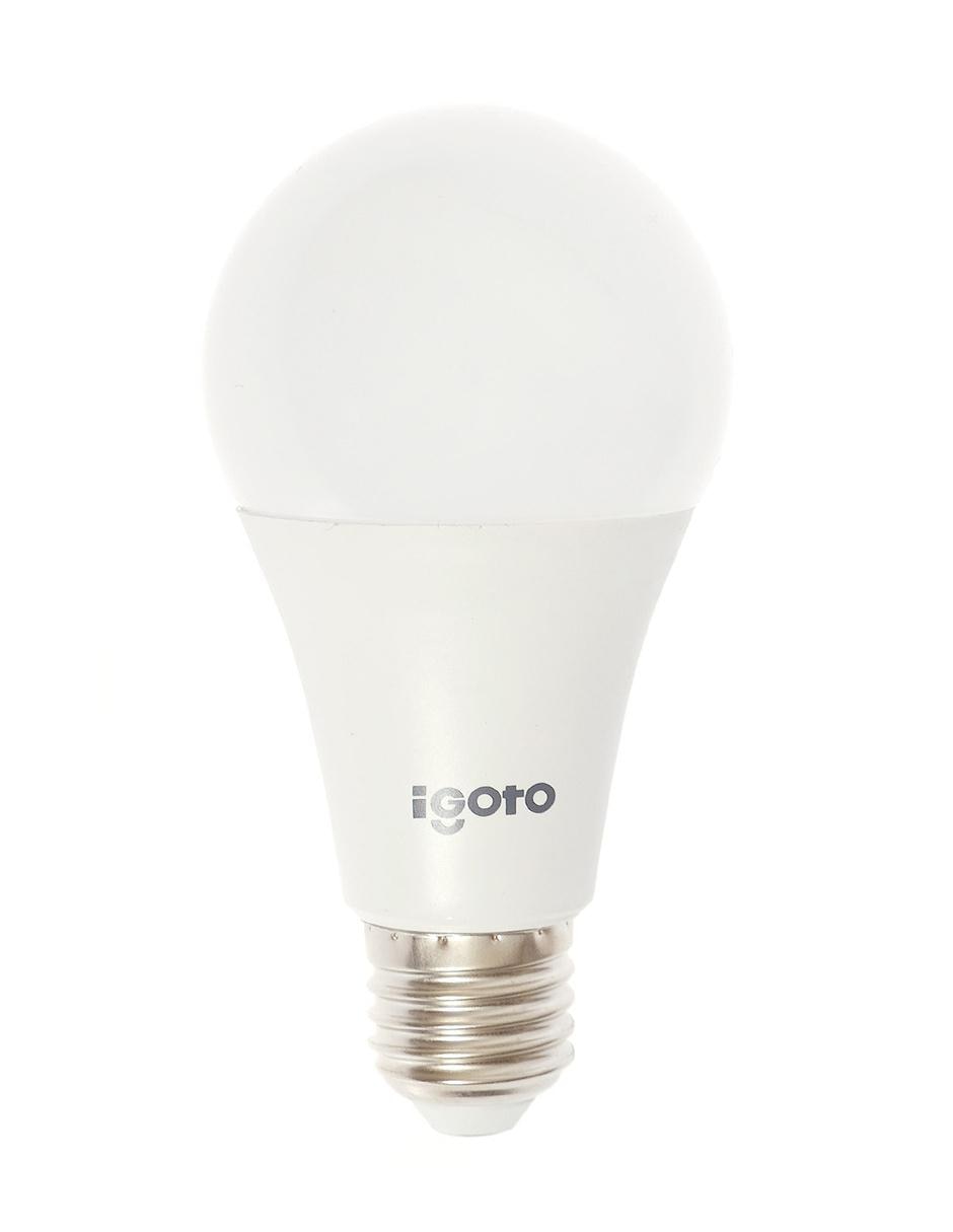 Foco LED iGOTO 15 Watts F20115