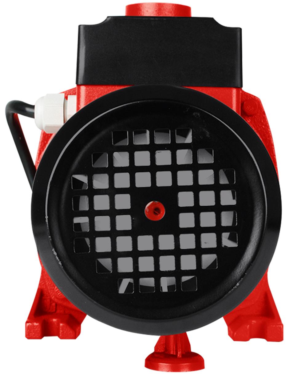 Bomba centrifuga 1 HP 750W Línea Profesional 2