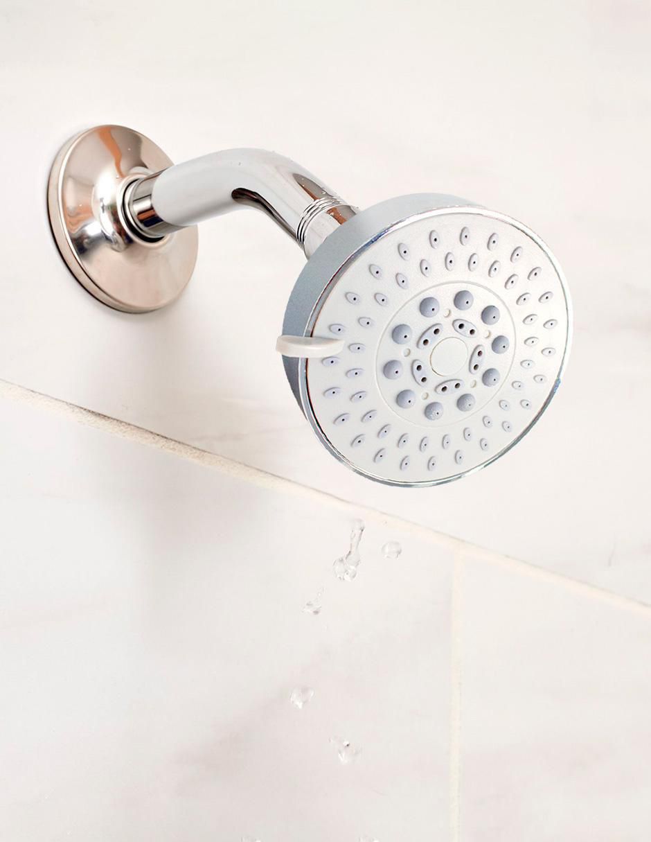 Regadera para baño 6