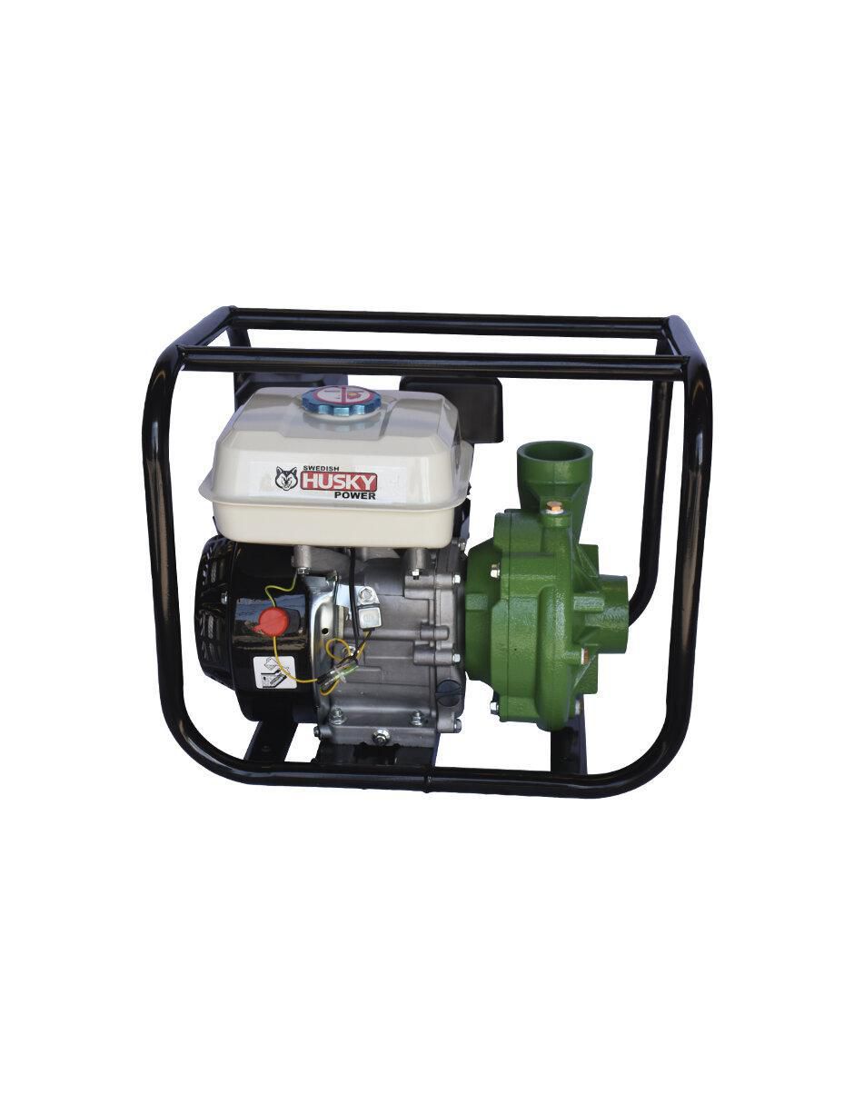 Bomba de agua alto caudal 7 HP 3