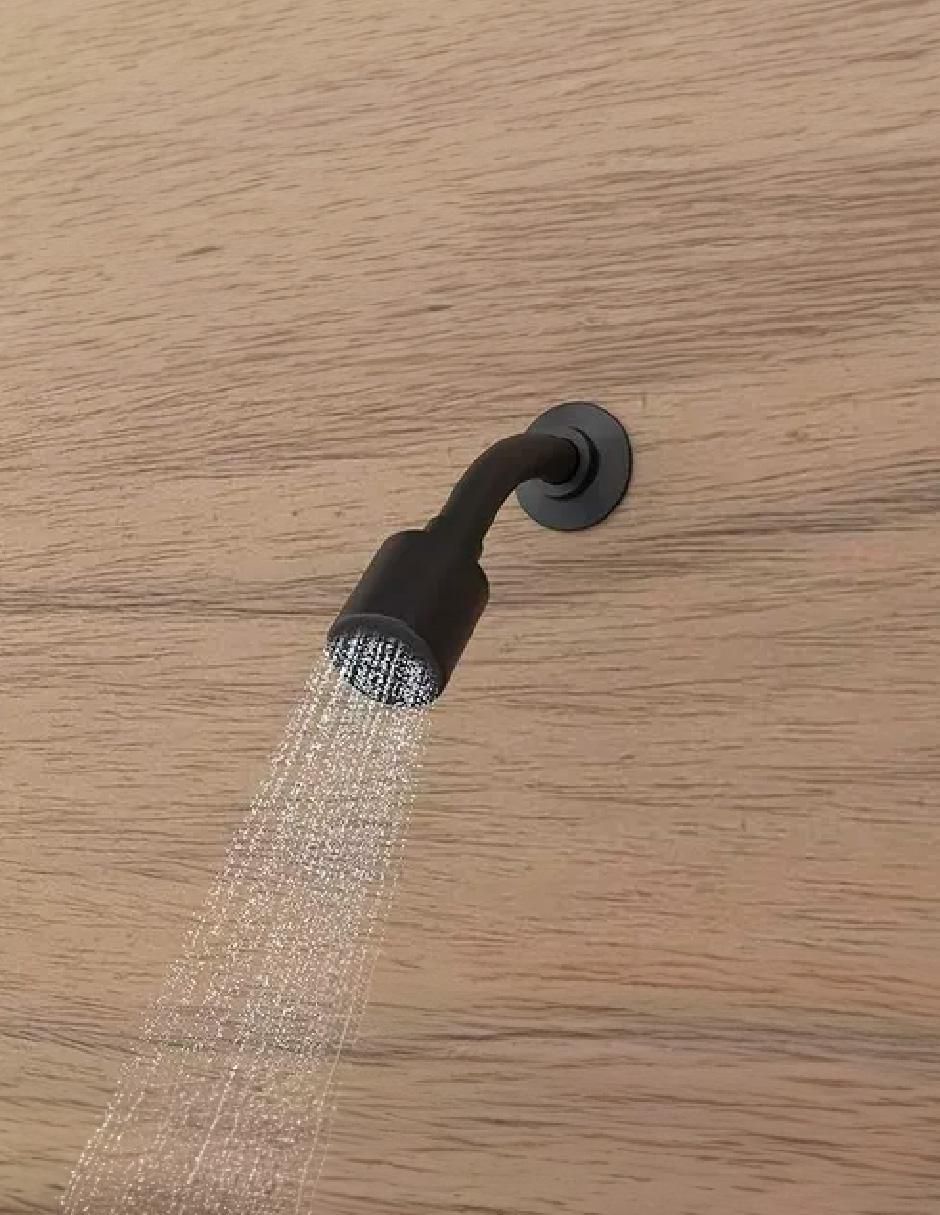 Regadera para baño 2