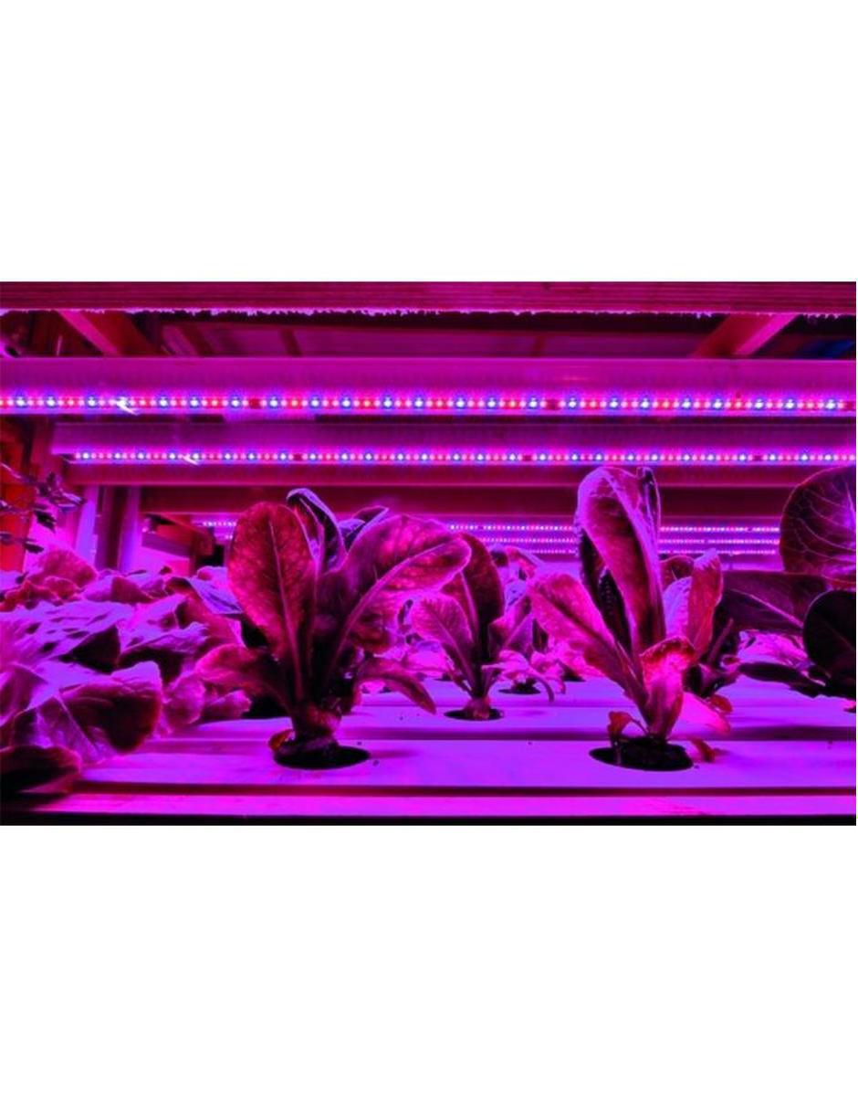 Serie de focos LED Mxgws-001 3