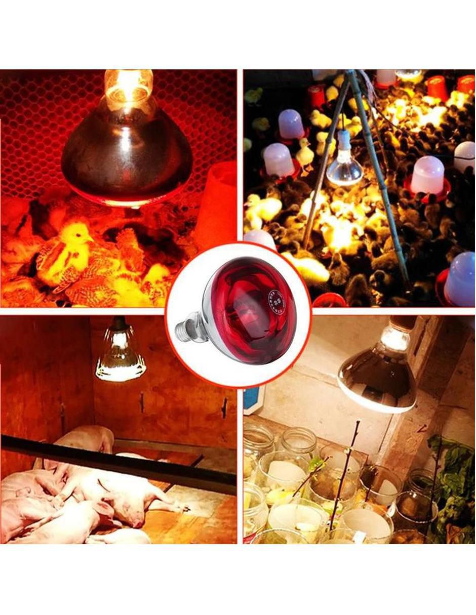 Foco incandescente 2.3 W de consumo 250 W de iluminación 11 lúmenes 4