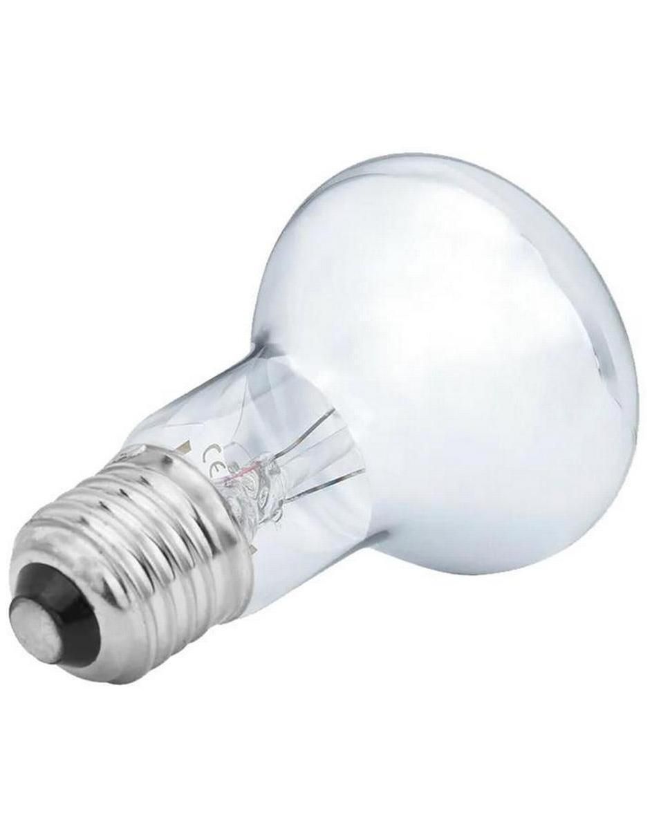 Foco incandescente 100 W de consumo  11 lúmenes 2