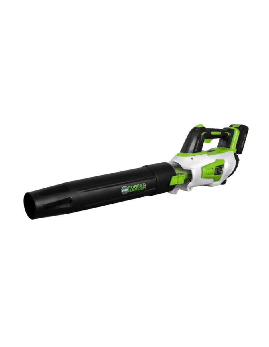 Sopladora a batería recargable Forest & Garden S 940/20 C1 1050 MPH 570 CFM