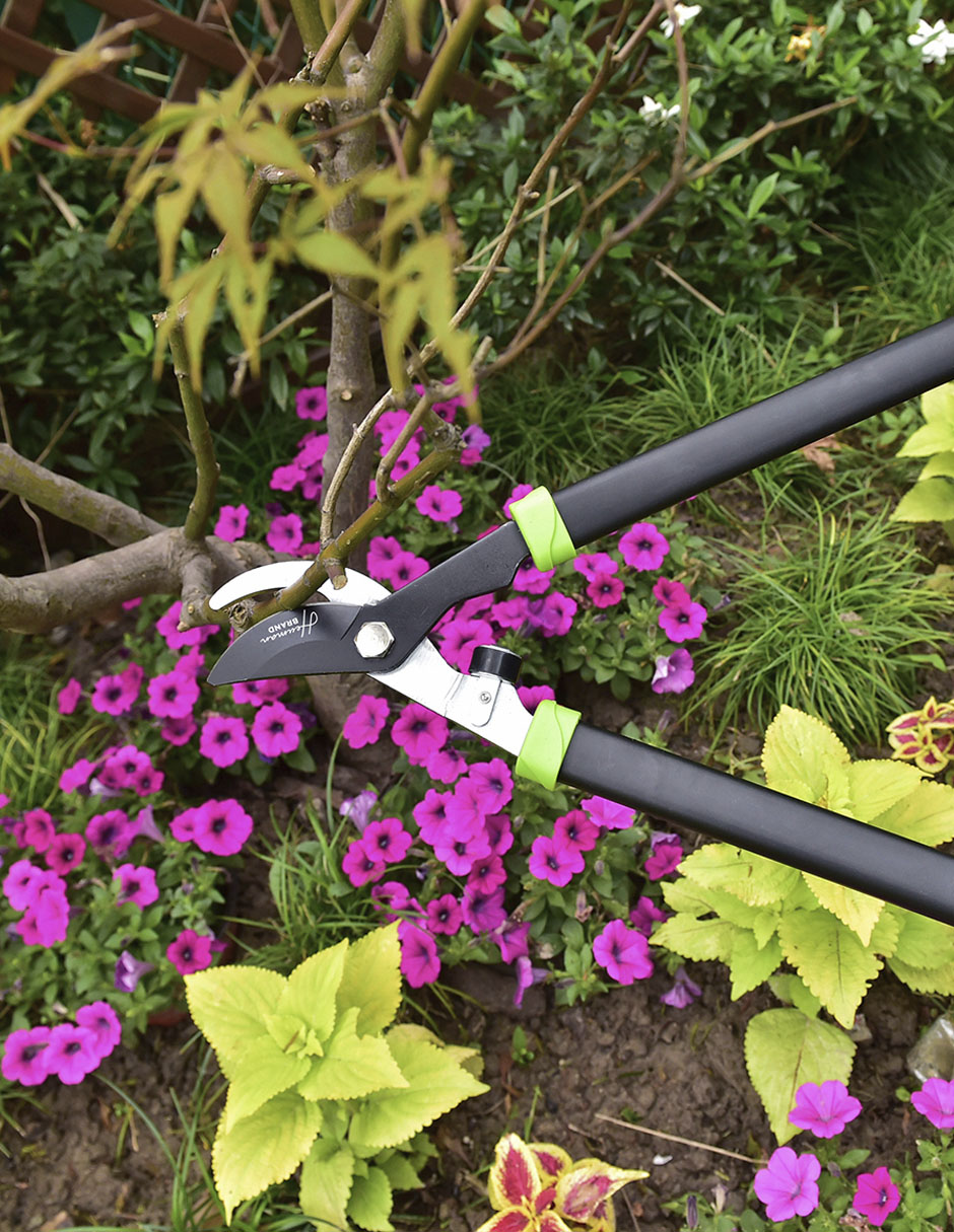 Set de tijeras para podar punta plana YS2505ADD-009 15